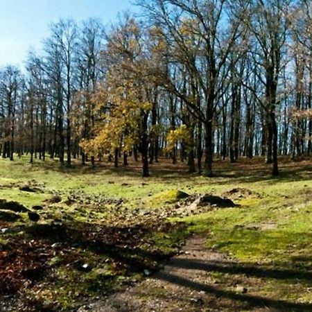 Casa Vacanze Camastra Santo Stefano di Camastra Kültér fotó